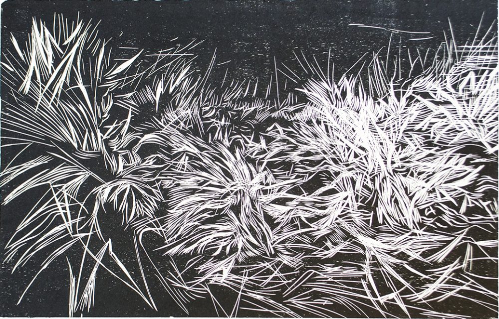 10 A desde el cerro 3, xilografia 45.5 x 70 cm p_a $180.000