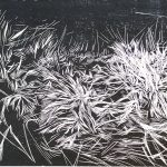 10 A desde el cerro 3, xilografia 45.5 x 70 cm p_a $180.000