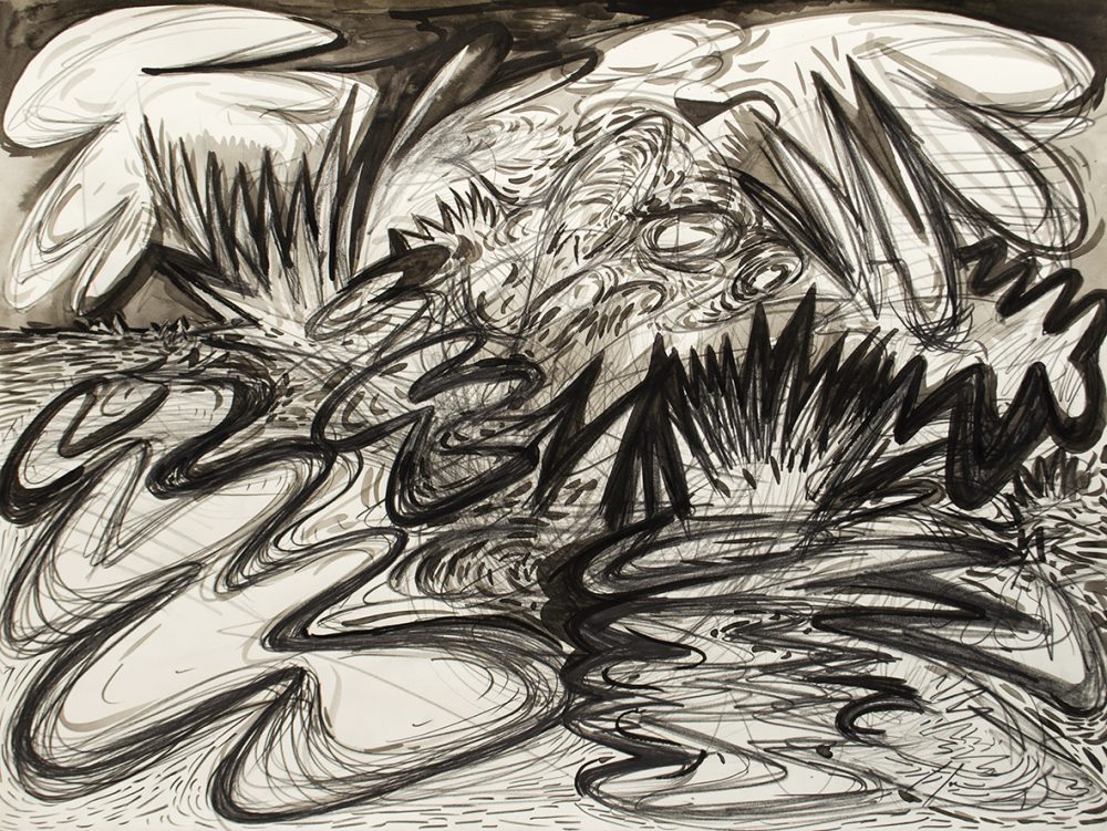 dibujo 7 tinta china y lapiz grafito 57 x 76 cm papel somerset $500.000 2018