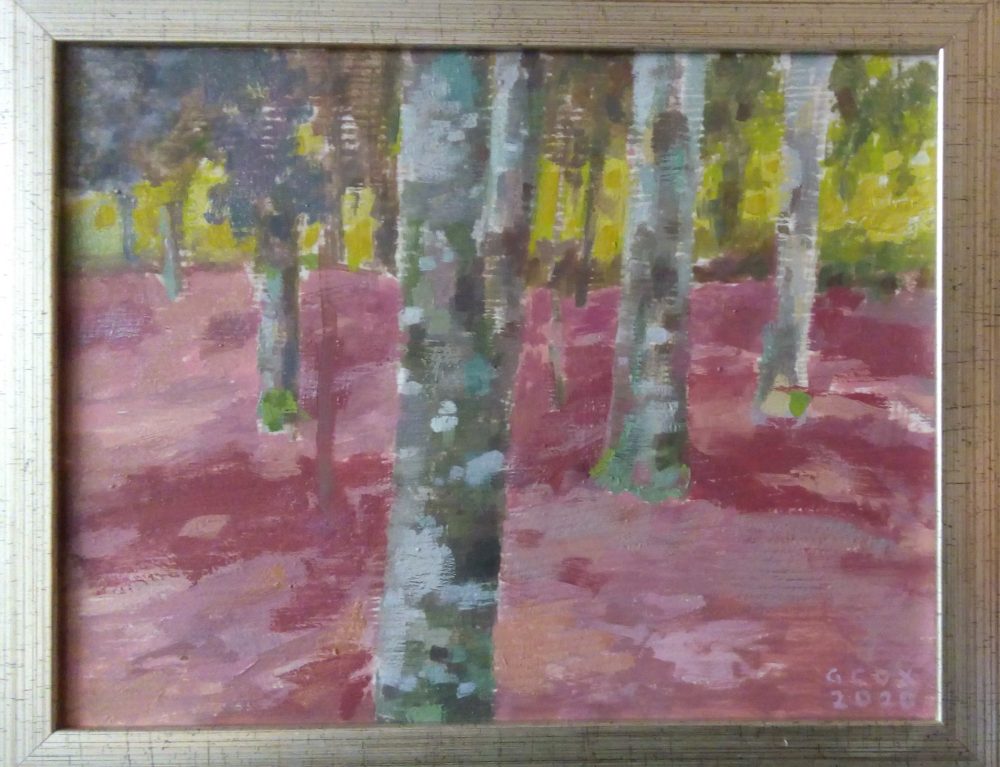 3-BOSQUECITO DE COIHUES
