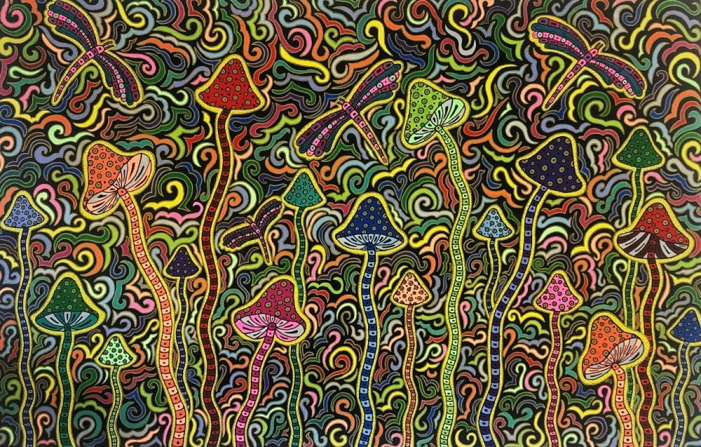 hongos