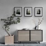Hallway_with_cabinet_and_large_plant