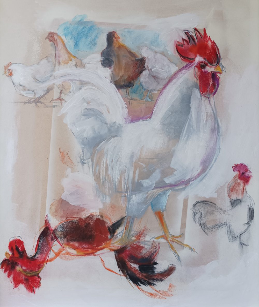 Gallos y gallos
