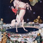 space horse coronation
